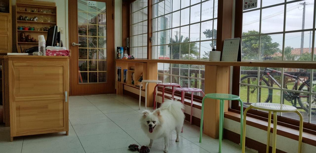 Jeju again olle pension Extérieur photo